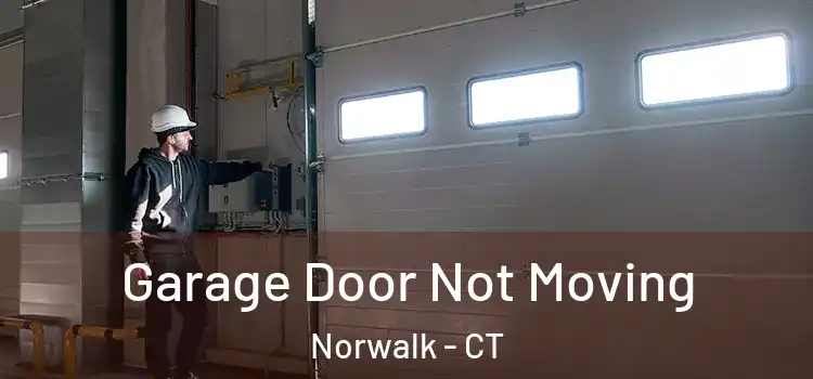  Garage Door Not Moving Norwalk - CT