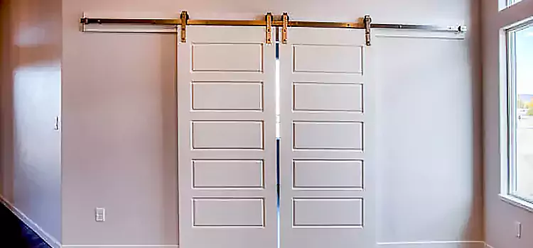 Glass Barn Door with Installation Hardware Kit Norwalk