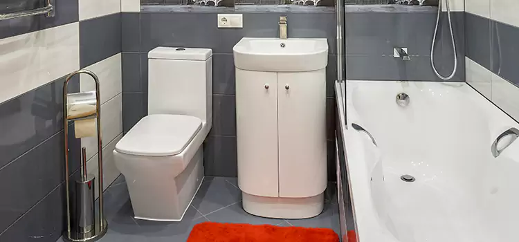 Hansgrohe Shaving Mirror Norwalk